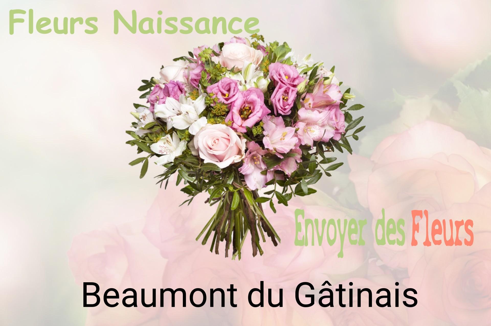 Bouquet de fleurs de naissance livré à Beaumont-du-Gâtinais
