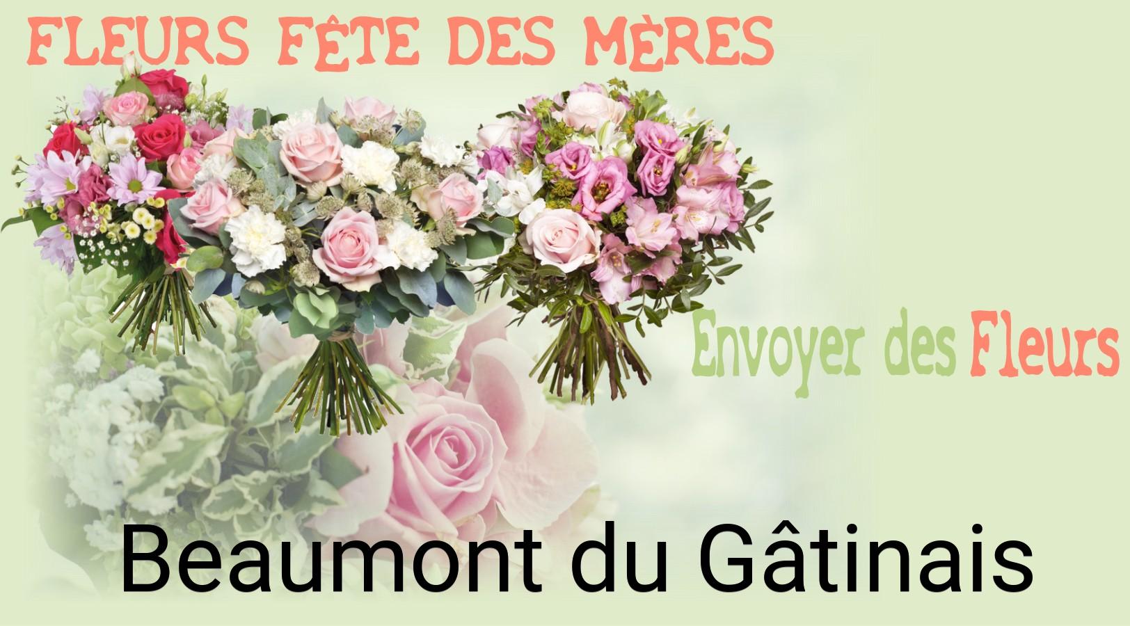 Bouquet de Fête des Mères livré à Beaumont-du-Gâtinais